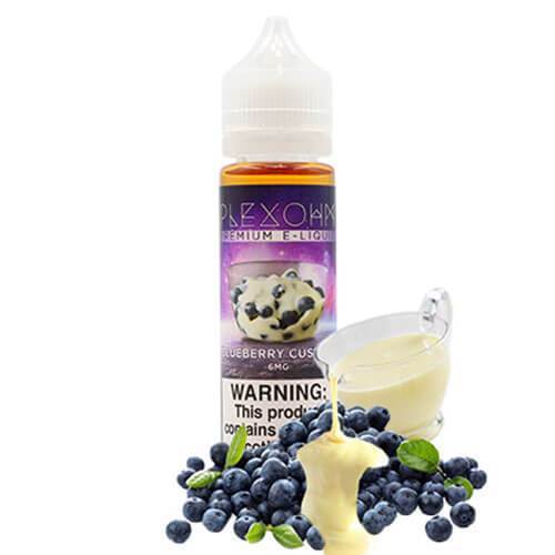 Plex Ohm Premium E-Liquid - Blueberry Custard